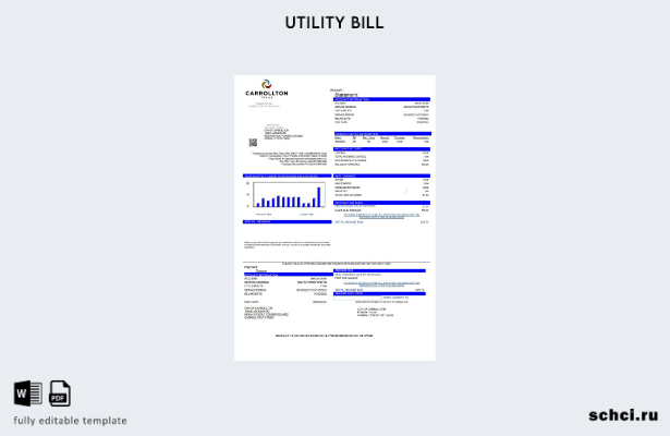 скачать в цифровом формате шаблон счета за коммунальные услуги в США, Техас, Кэр